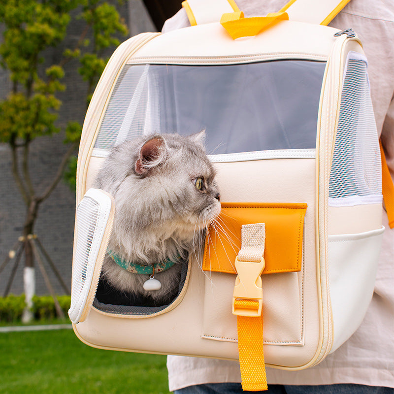 Cat in a yellow pet carrier with orange pocket