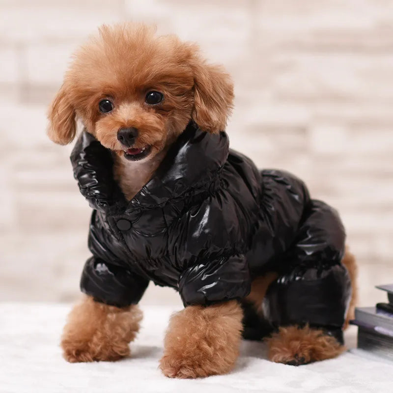 Pet Down Jacket Black