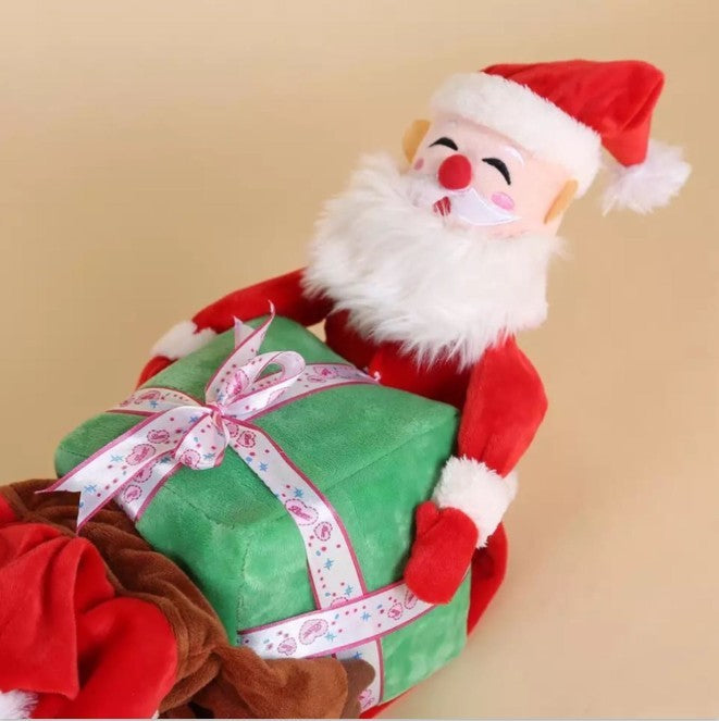 Funny Pet Costume Santa with Gift