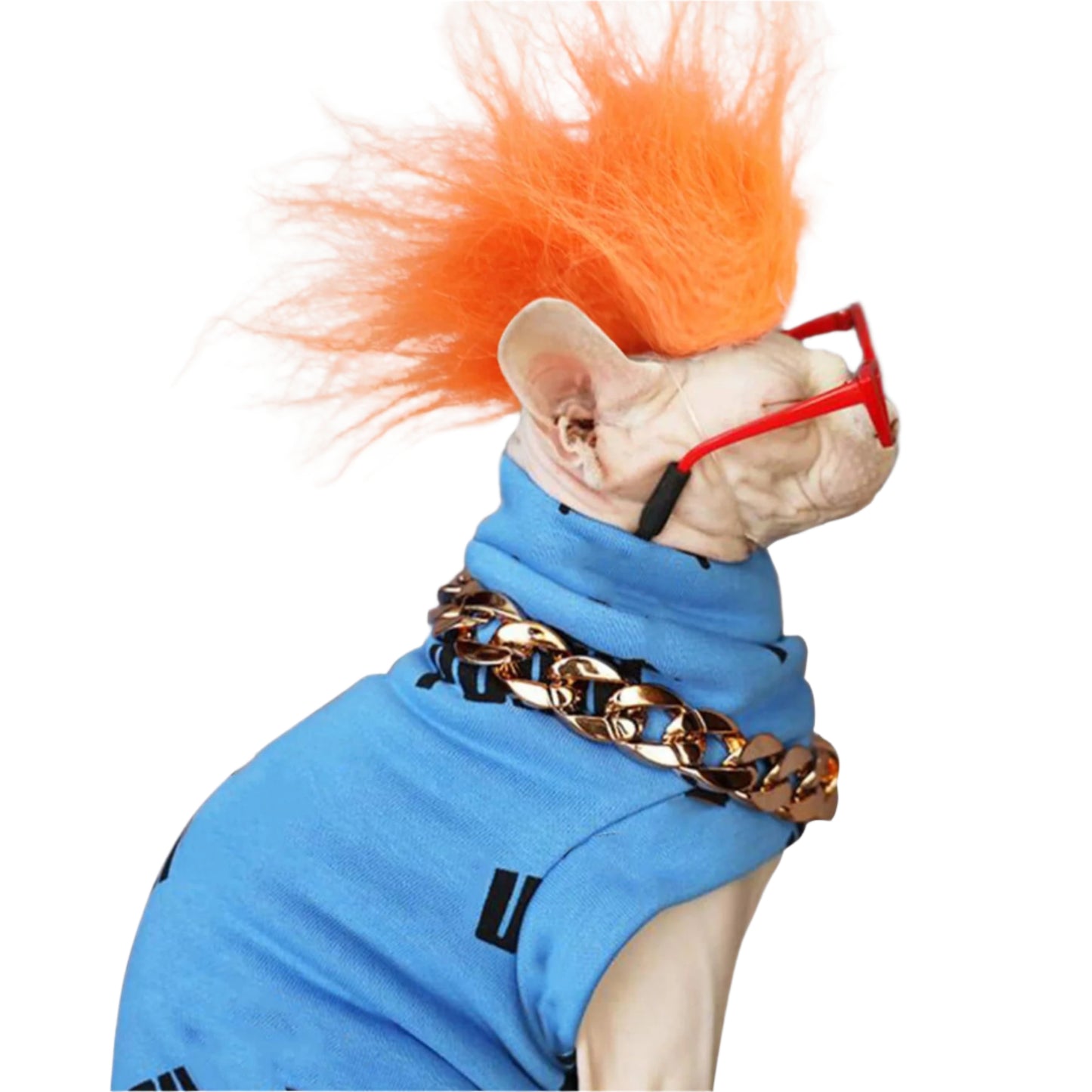 Funny Pet Headwear Coloured Wig Orange