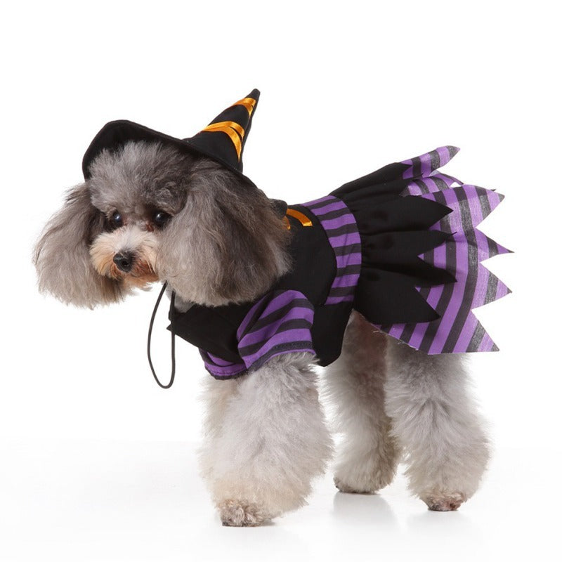 Funny Pet Costume Witch