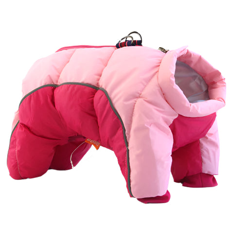 Pink dog down jacket on a white background