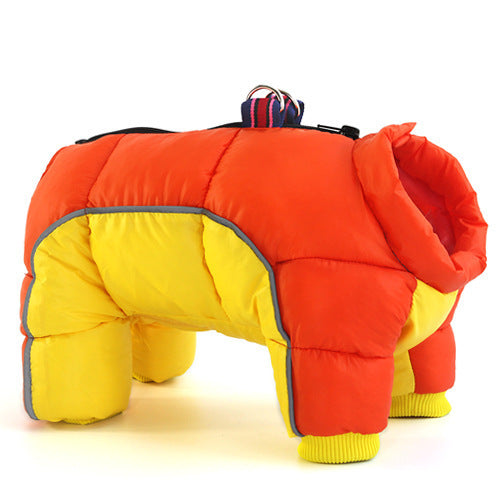 Orange and yellow dog down jacket on a white background