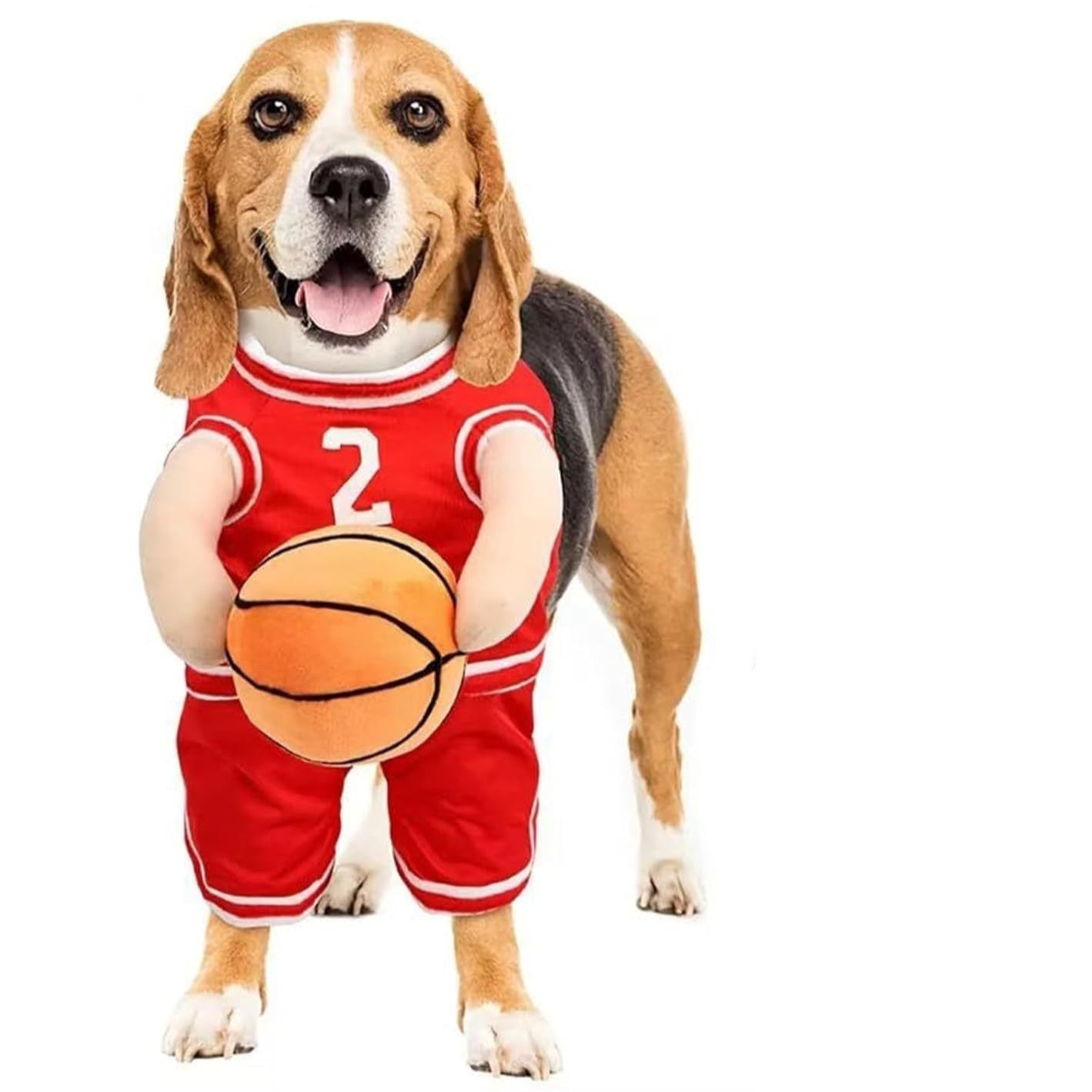 Funny Pet Costume Basketball Player