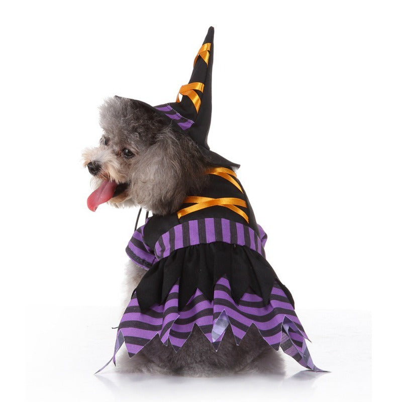 Funny Pet Costume Witch