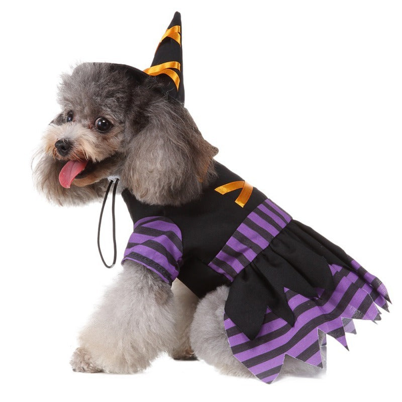 Funny Pet Costume Witch