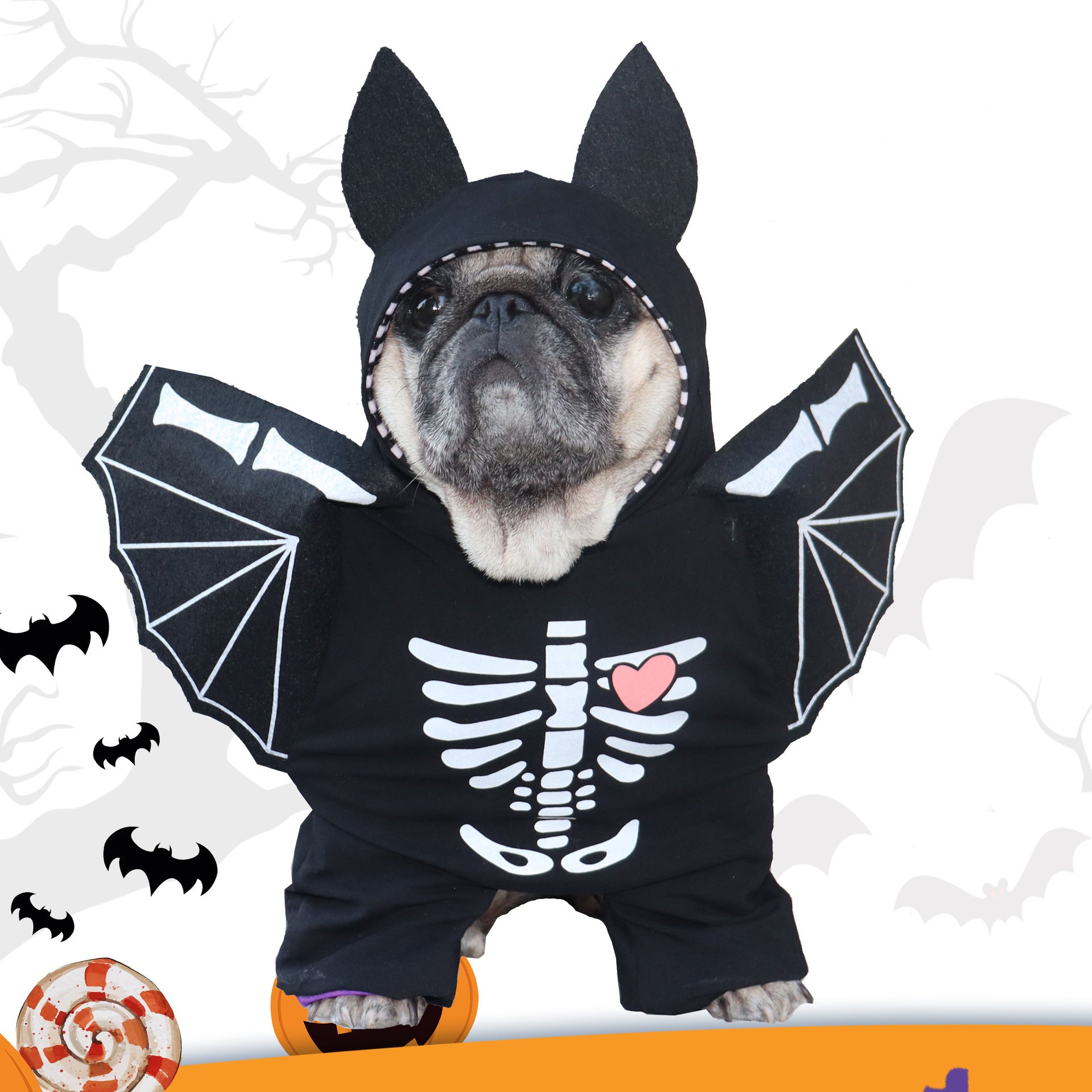Funny Pet Costume Skeleton Bat