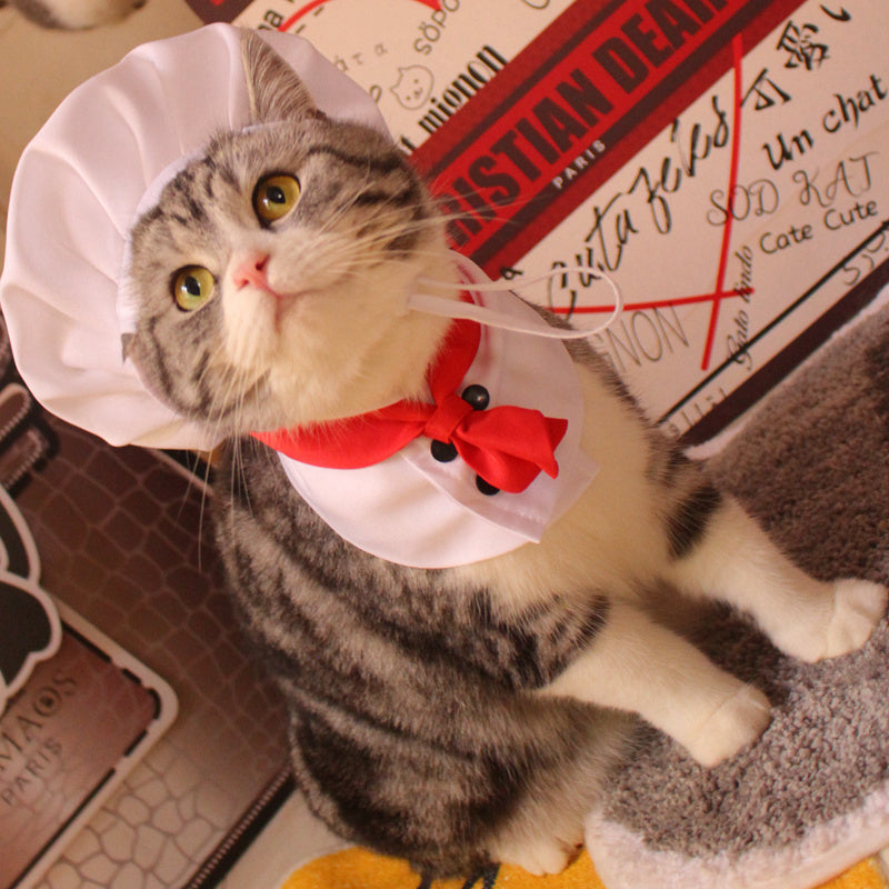 Funny Pet Costume Chef