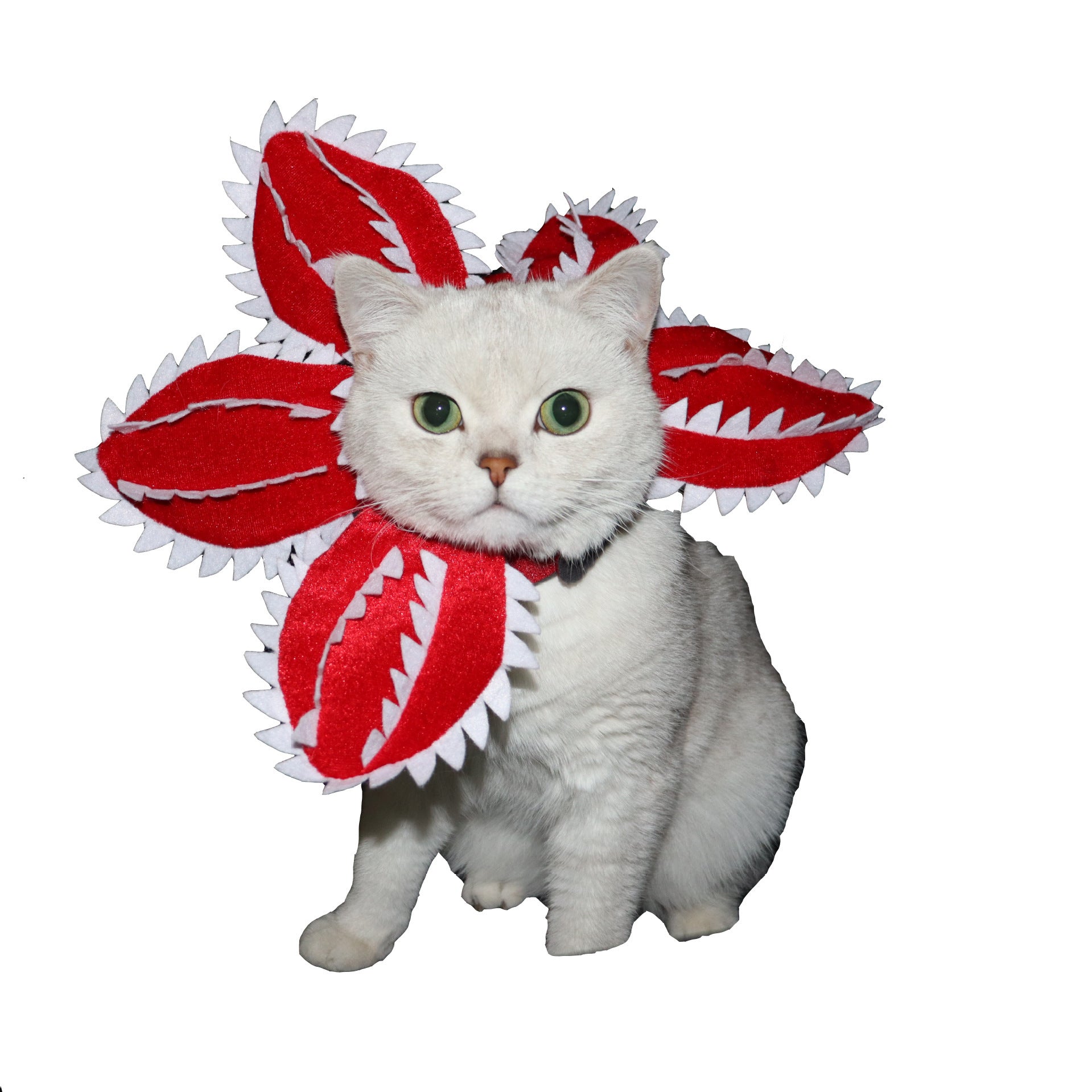 Funny Pet Headwear Carnivorous Plant