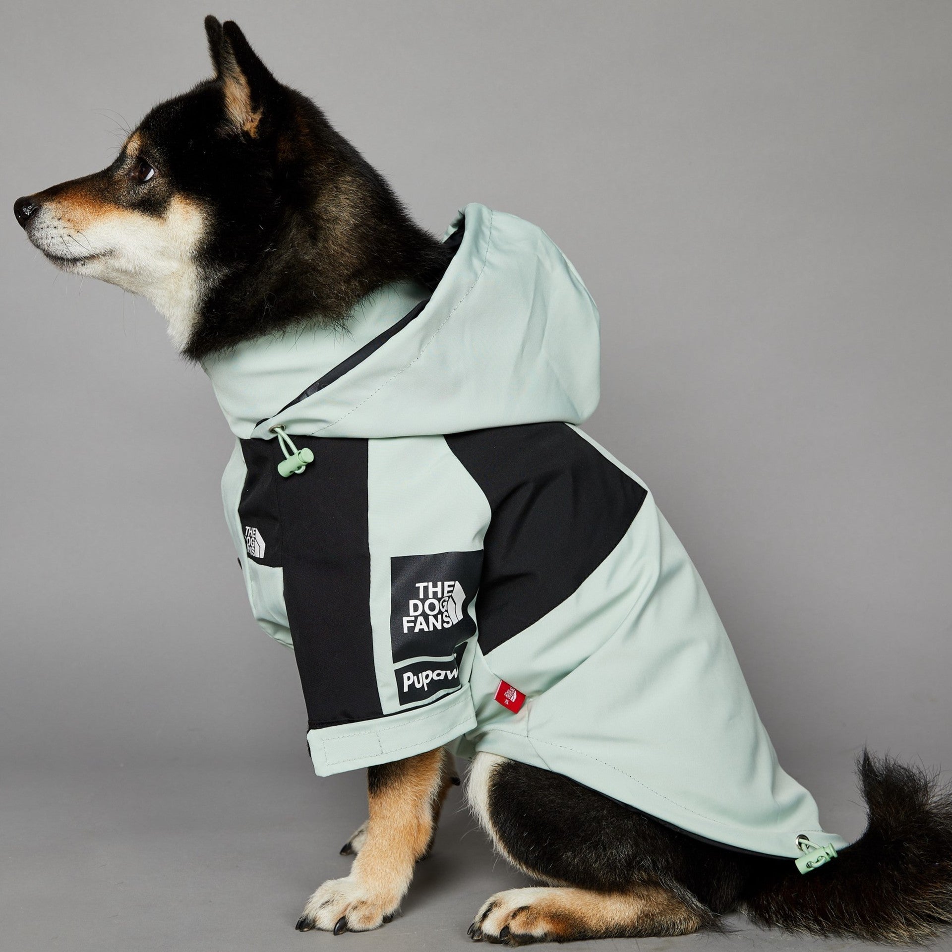 Pet Waterproof Shell Jacket Mint