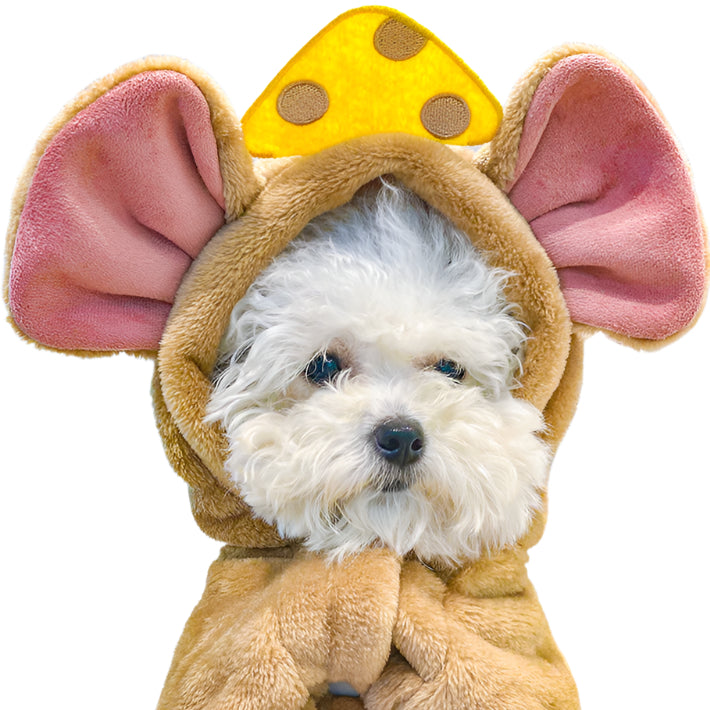 Funny Pet Costume Mouse with Cheese