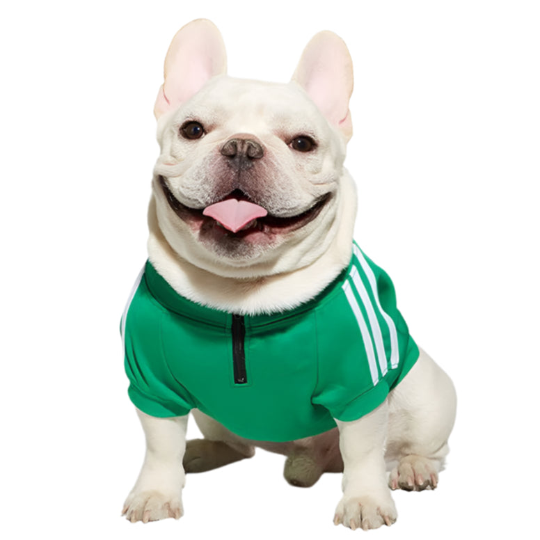 Pet Tracksuit Green