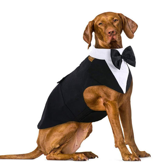 Pet Suit Bow Tie