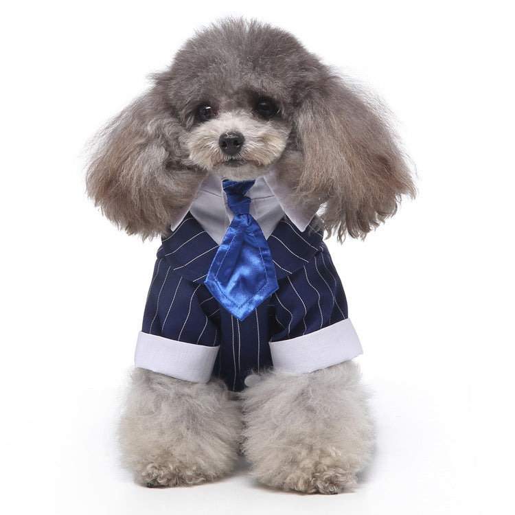 Pet Suit Blue Tie