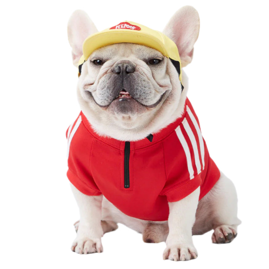 Pet Tracksuit Red