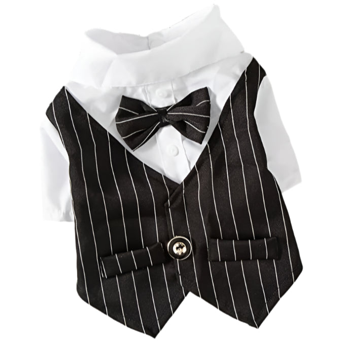 Pet Suit Bow Tie Black