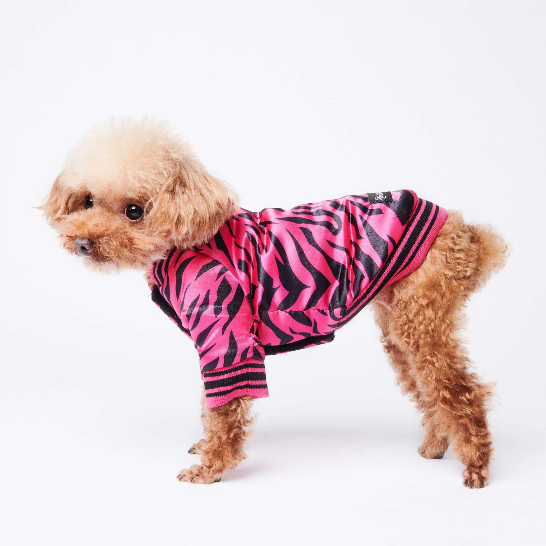 Pet Fancy Jacket Zebra Pink
