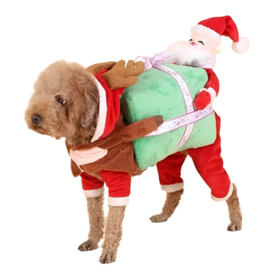 Funny Pet Costume Santa with Gift