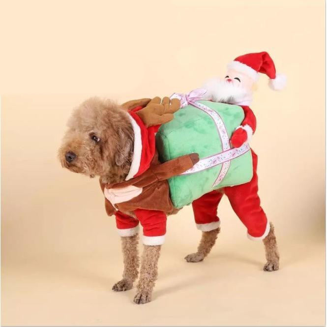 Funny Pet Costume Santa with Gift
