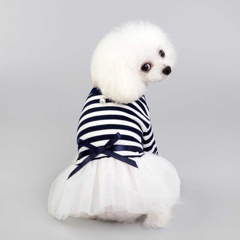 Small white dog wearing a blue and white striped dress with a bow tie on a gray background