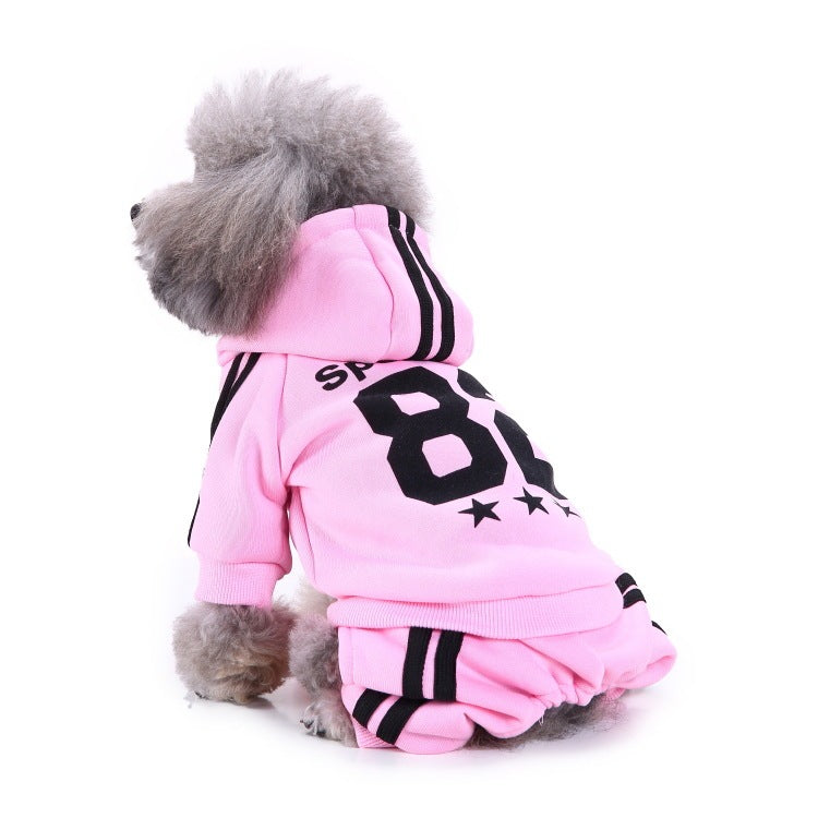 Dog wearing a pink hoodie with black number 82 and stripes on a white background