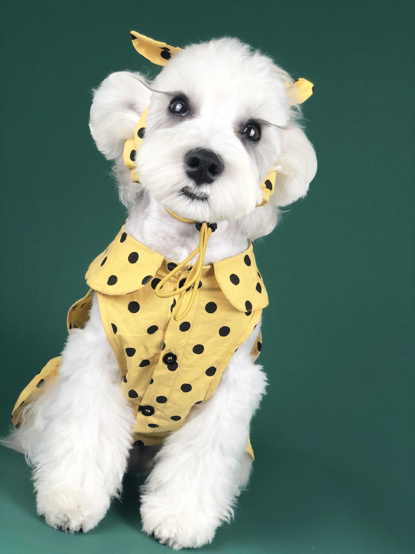Pet Dress Polka Dot Yellow