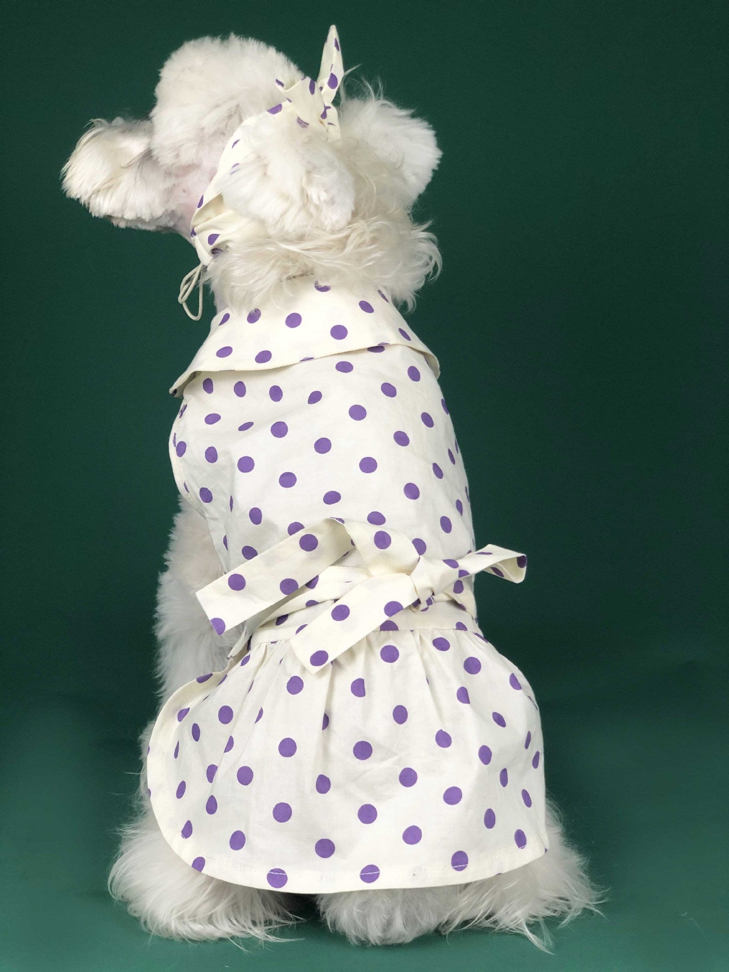 Pet Dress Polka Dot White