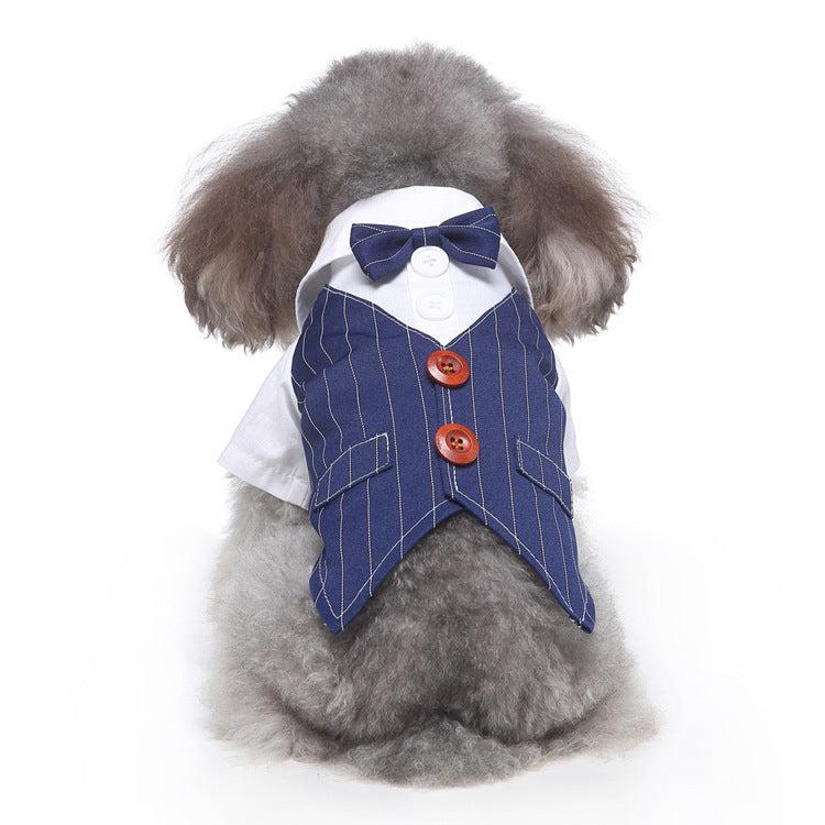 Pet Suit Blue Bow Tie