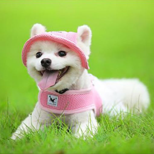 Pet Headwear Sun Hat Pink