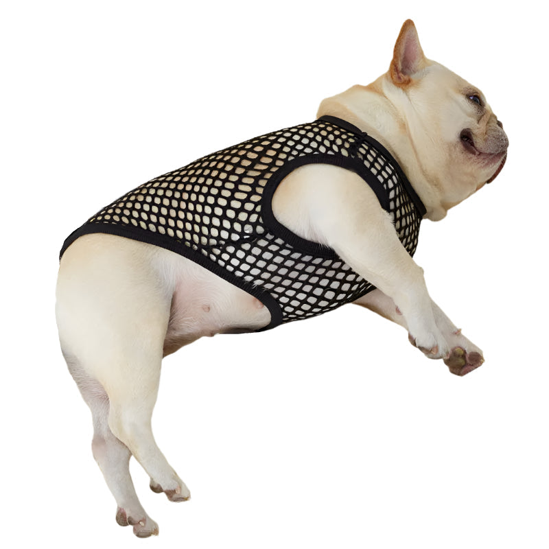 Pet Mesh Tank Top Black