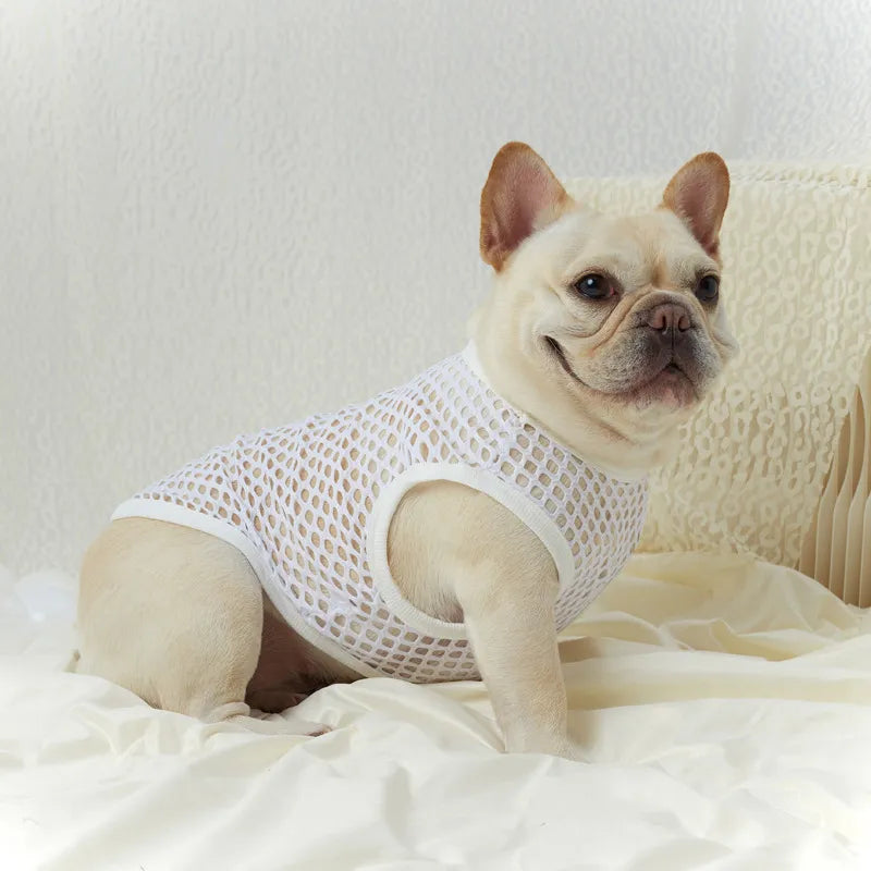 Pet Mesh Tank Top White