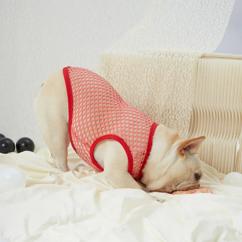 Pet Mesh Tank Top Pink
