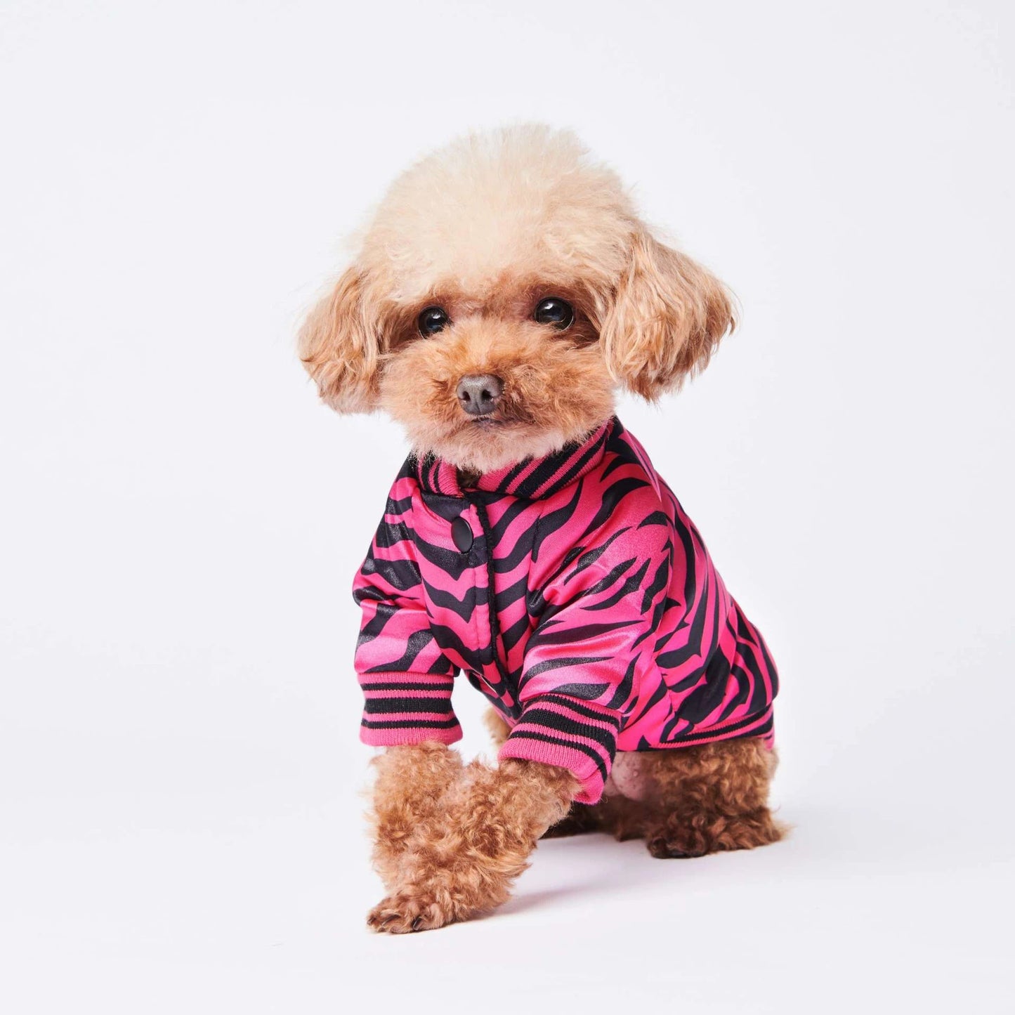 Pet Fancy Jacket Zebra Pink