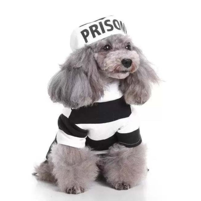 Funny Pet Costume Prisoner