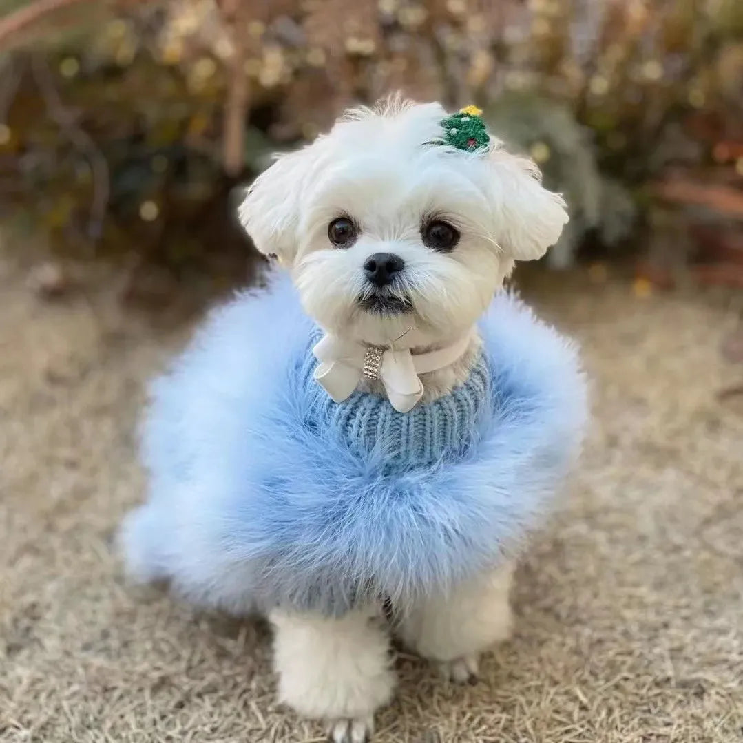Pet Feather Knit Sweater Blue