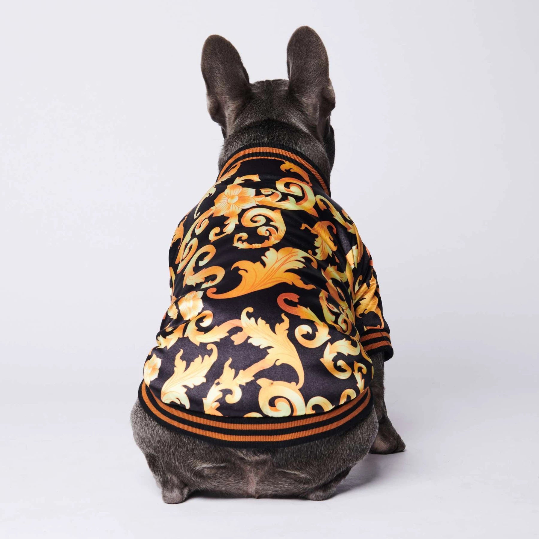 Pet Fancy Jacket