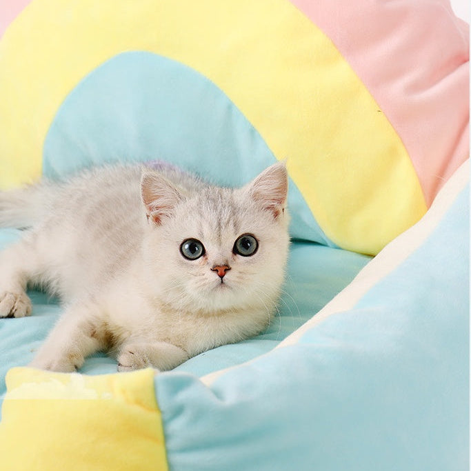 Kitten lying on a colourful, rainbow bet bed