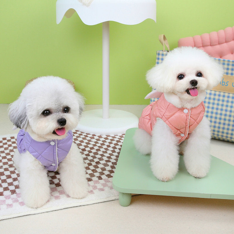 Pet Jackets Angel Wings