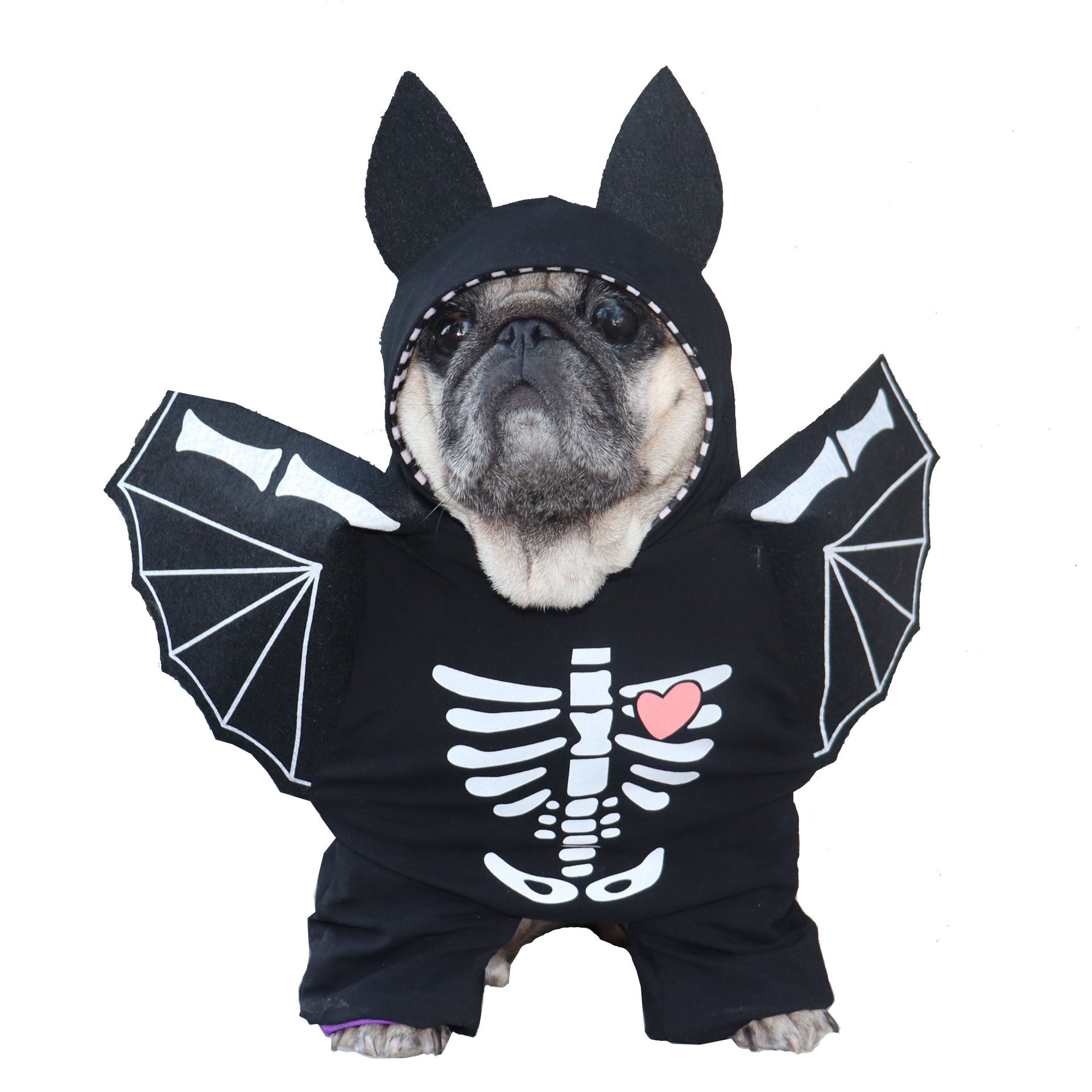 Funny Pet Costume Skeleton Bat