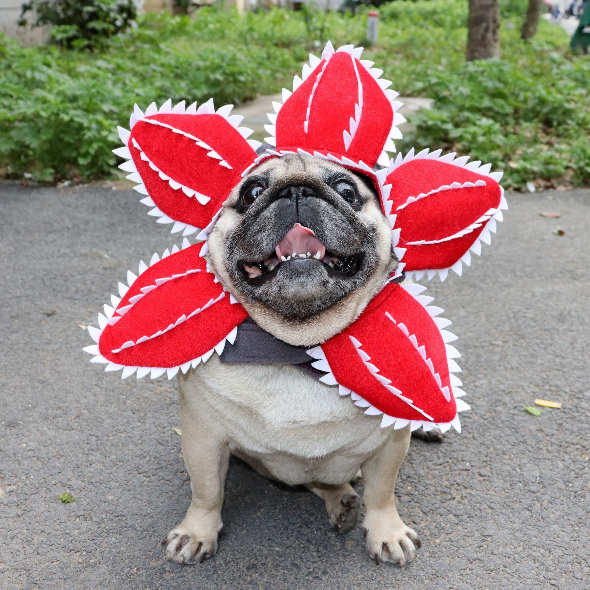 Funny Pet Headwear Carnivorous Plant