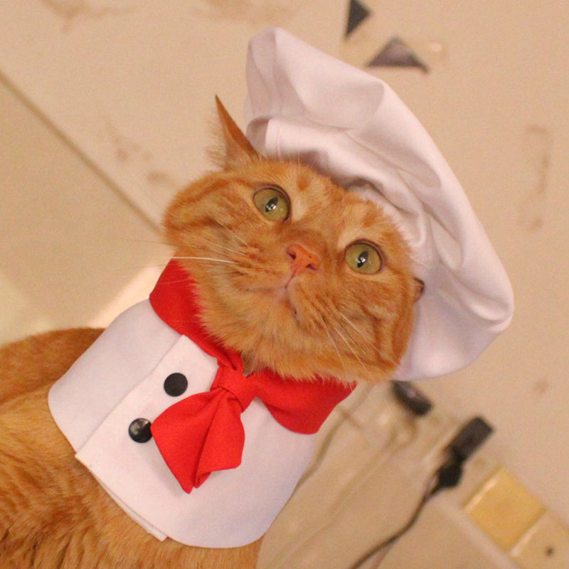Funny Pet Costume Chef