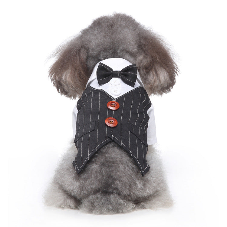 Pet Suit Black Bow Tie