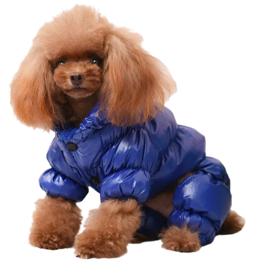 Pet Down Jacket Blue