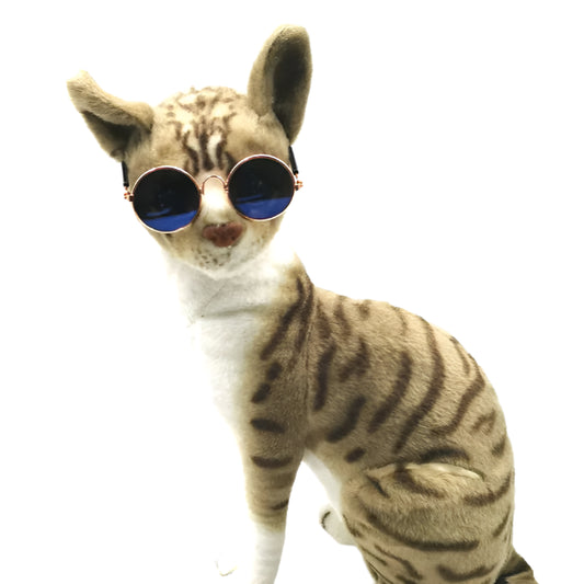 Pet Sunglasses 