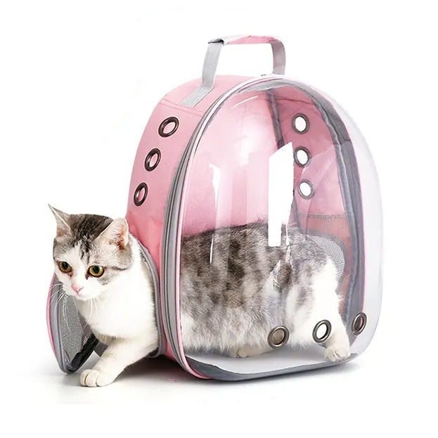 Pink bubble pet backpack with a cat inside.