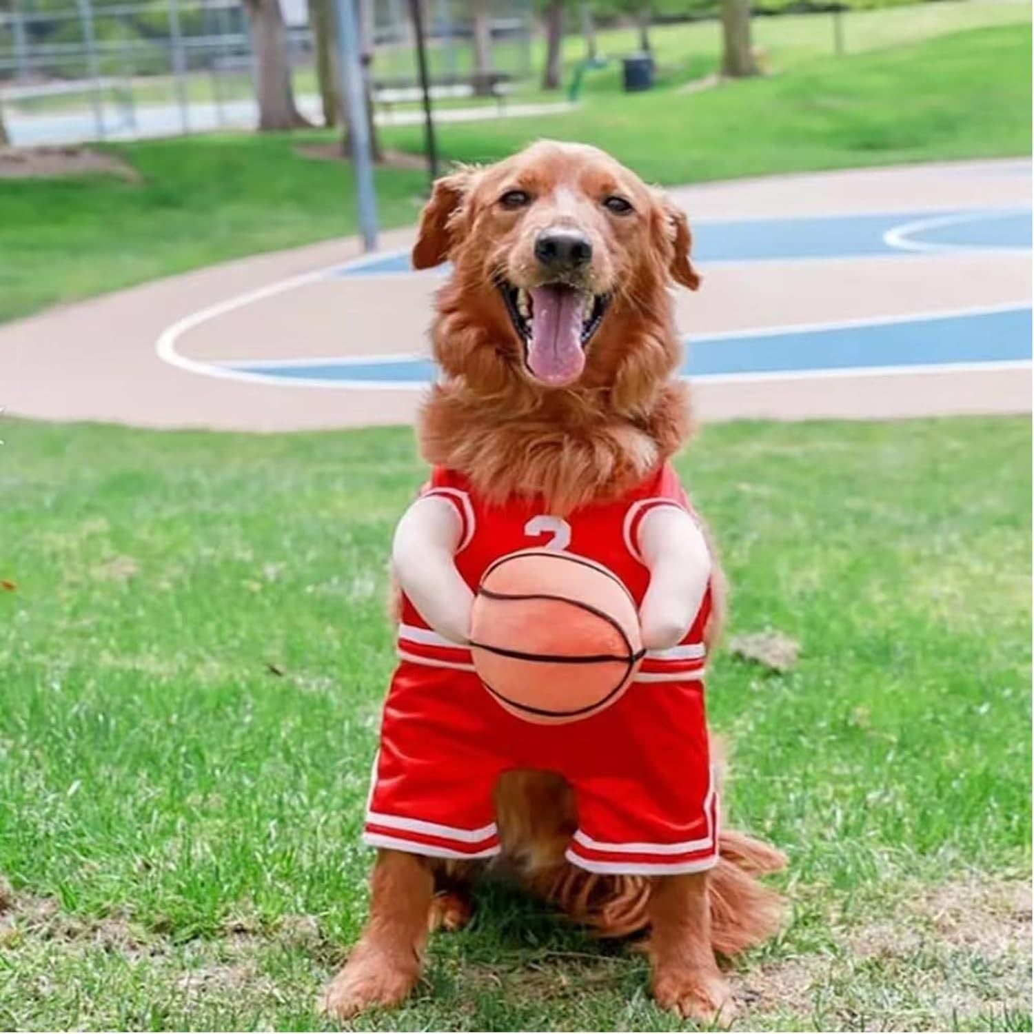 Funny Pet Costume Basketball Player