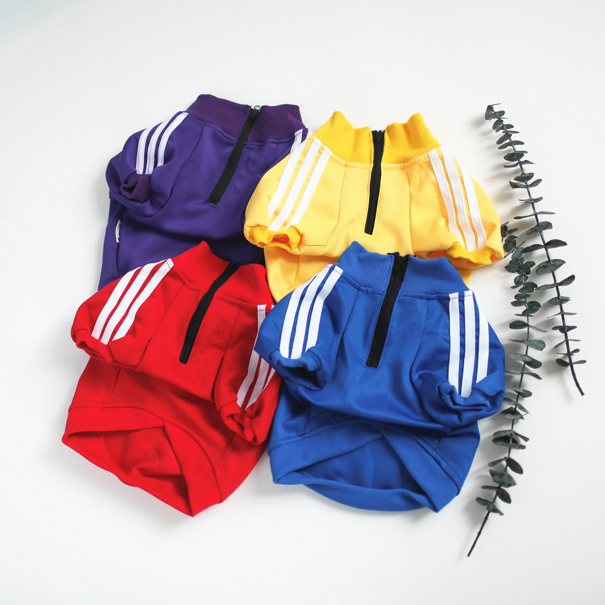 Pet Tracksuits