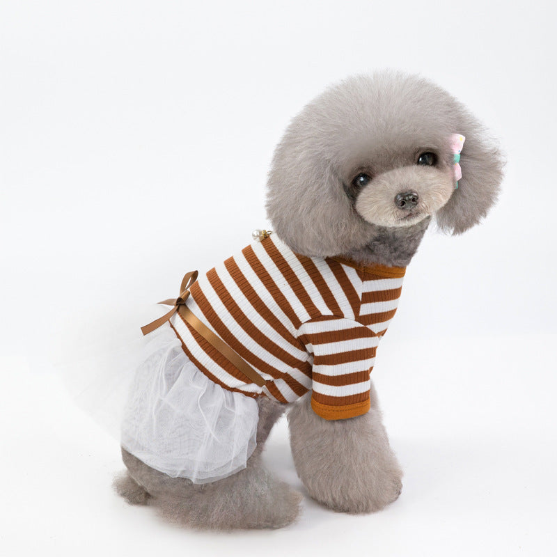 Small dog wearing a brown striped dress on a white background