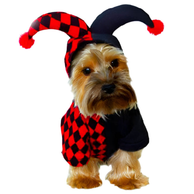 Funny Pet Costume Jester Checkered