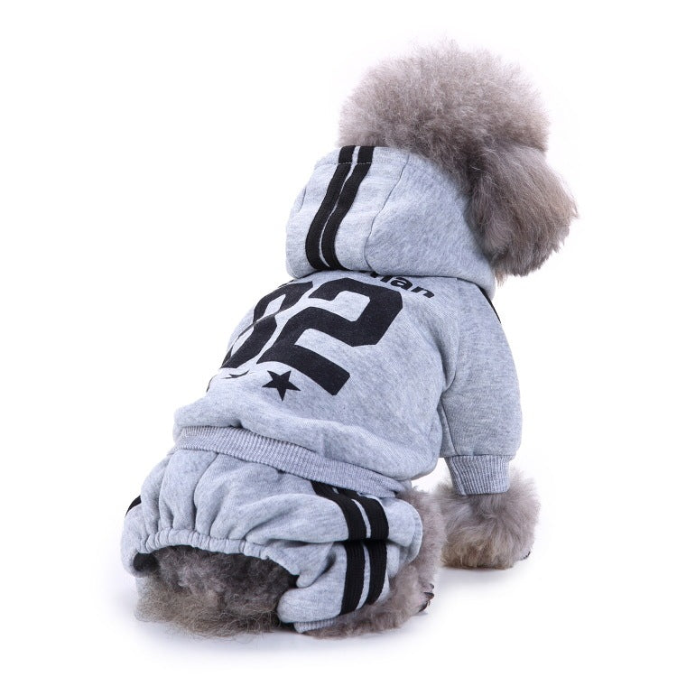 Dog wearing a gray hoodie with black number 82 and stars on a white background